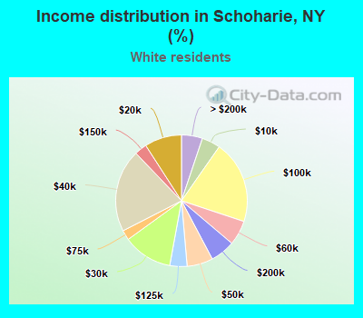 Income distribution in Schoharie, NY (%)