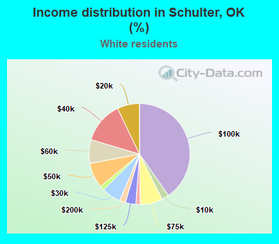 Income distribution in Schulter, OK (%)