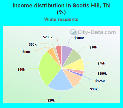 Income distribution in Scotts Hill, TN (%)