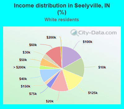 Income distribution in Seelyville, IN (%)