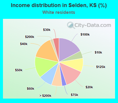 Income distribution in Selden, KS (%)