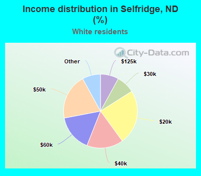 Income distribution in Selfridge, ND (%)