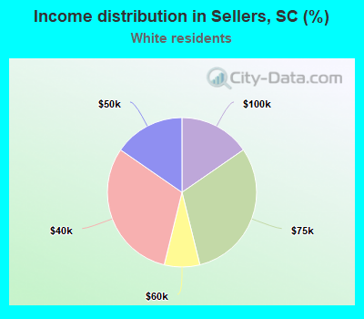 Income distribution in Sellers, SC (%)