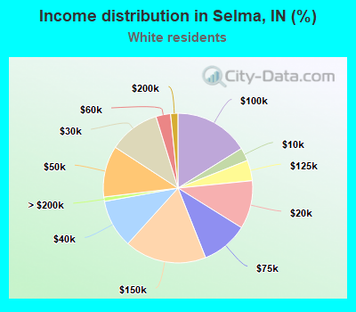 Income distribution in Selma, IN (%)