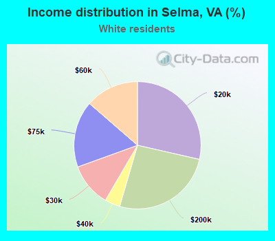 Income distribution in Selma, VA (%)