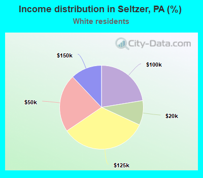 Income distribution in Seltzer, PA (%)