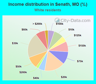 Income distribution in Senath, MO (%)
