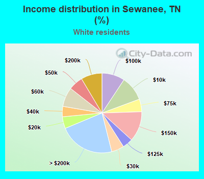 Income distribution in Sewanee, TN (%)