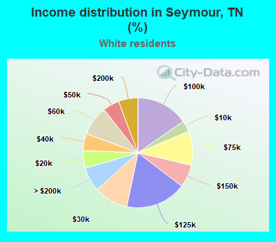 Income distribution in Seymour, TN (%)