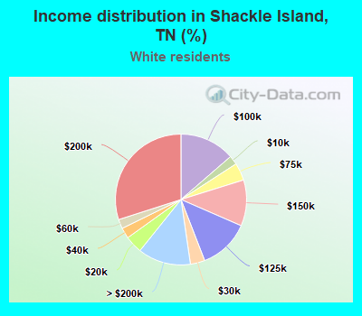 Income distribution in Shackle Island, TN (%)