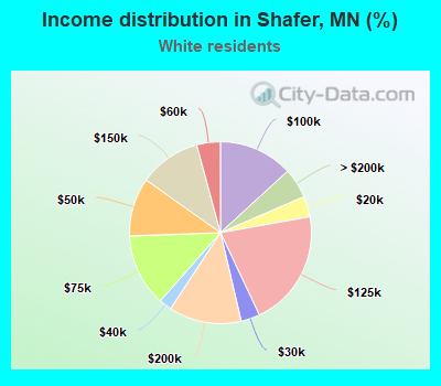 Income distribution in Shafer, MN (%)