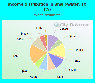 Income distribution in Shallowater, TX (%)