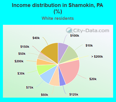 Income distribution in Shamokin, PA (%)