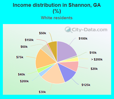 Income distribution in Shannon, GA (%)