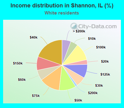 Income distribution in Shannon, IL (%)