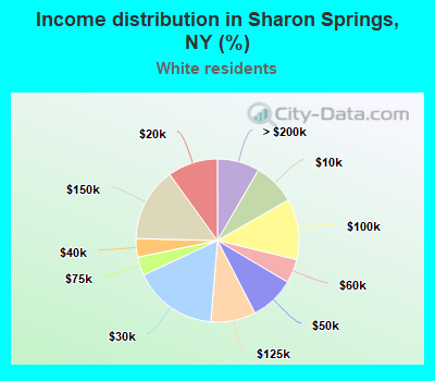 Income distribution in Sharon Springs, NY (%)