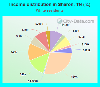 Income distribution in Sharon, TN (%)