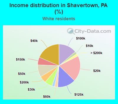 Income distribution in Shavertown, PA (%)