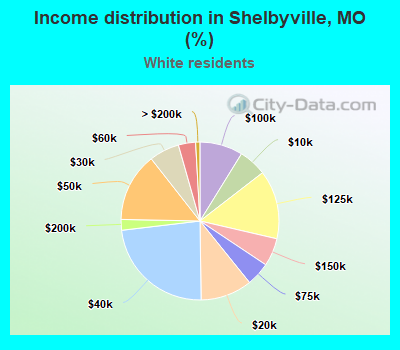 Income distribution in Shelbyville, MO (%)