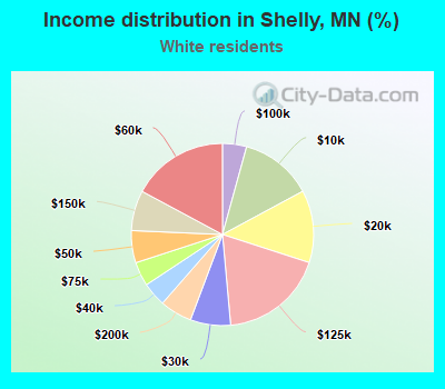 Income distribution in Shelly, MN (%)