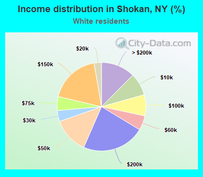 Income distribution in Shokan, NY (%)