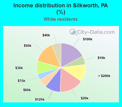 Income distribution in Silkworth, PA (%)