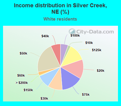 Income distribution in Silver Creek, NE (%)
