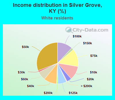 Income distribution in Silver Grove, KY (%)