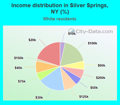 Income distribution in Silver Springs, NY (%)