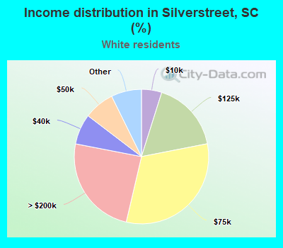 Income distribution in Silverstreet, SC (%)