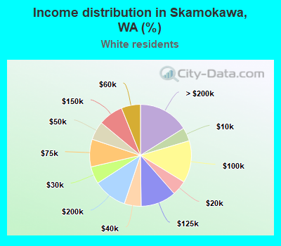 Income distribution in Skamokawa, WA (%)
