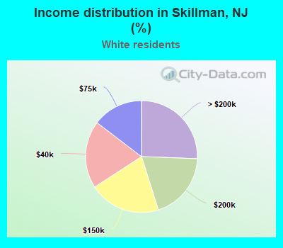 Income distribution in Skillman, NJ (%)