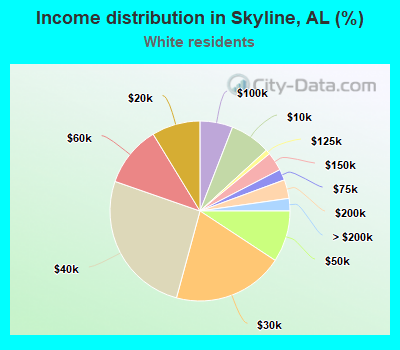 Income distribution in Skyline, AL (%)