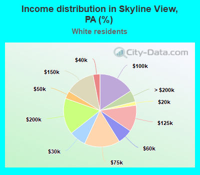 Income distribution in Skyline View, PA (%)