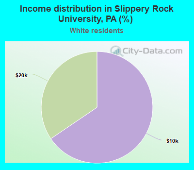 Income distribution in Slippery Rock University, PA (%)