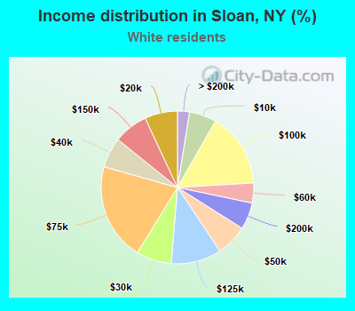 Income distribution in Sloan, NY (%)