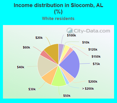 Income distribution in Slocomb, AL (%)