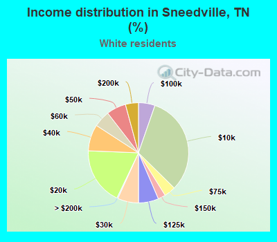 Income distribution in Sneedville, TN (%)
