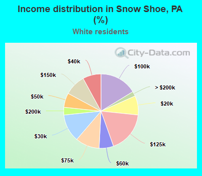 Income distribution in Snow Shoe, PA (%)