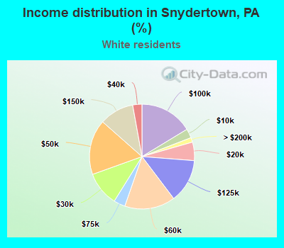 Income distribution in Snydertown, PA (%)