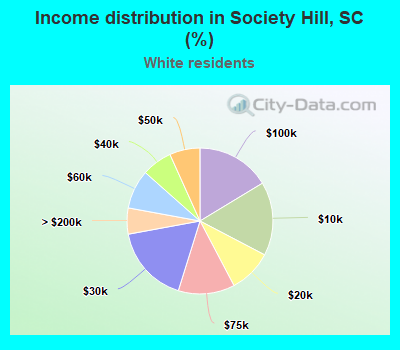 Income distribution in Society Hill, SC (%)