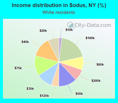 Income distribution in Sodus, NY (%)