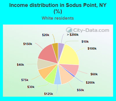 Income distribution in Sodus Point, NY (%)