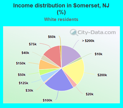 Income distribution in Somerset, NJ (%)