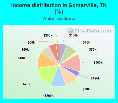 Income distribution in Somerville, TN (%)