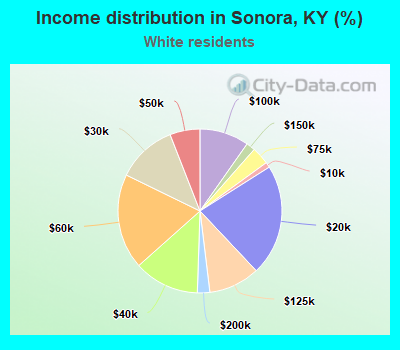 Income distribution in Sonora, KY (%)