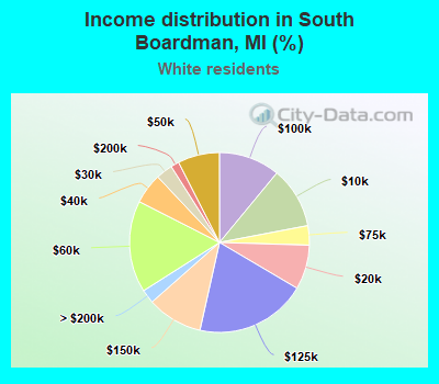 Income distribution in South Boardman, MI (%)