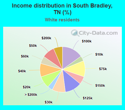 Income distribution in South Bradley, TN (%)