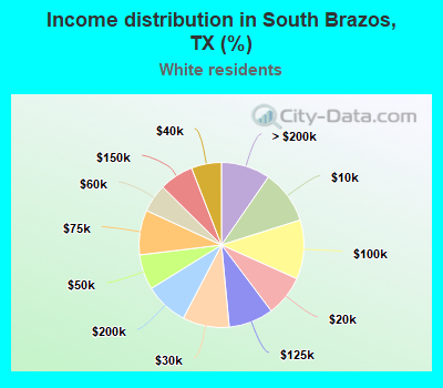 Income distribution in South Brazos, TX (%)