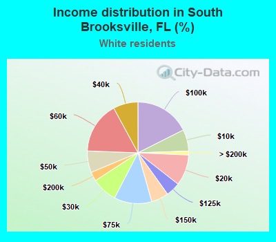 Income distribution in South Brooksville, FL (%)